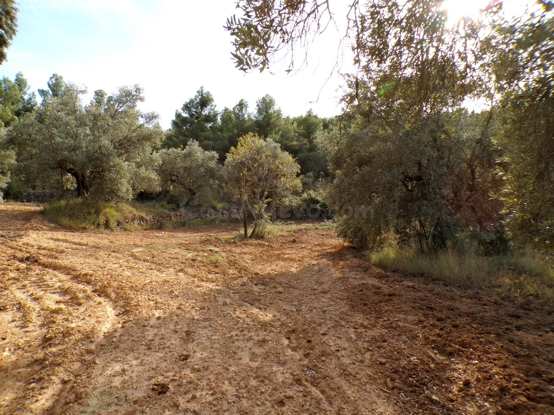 Finca rústica en La Fresneda