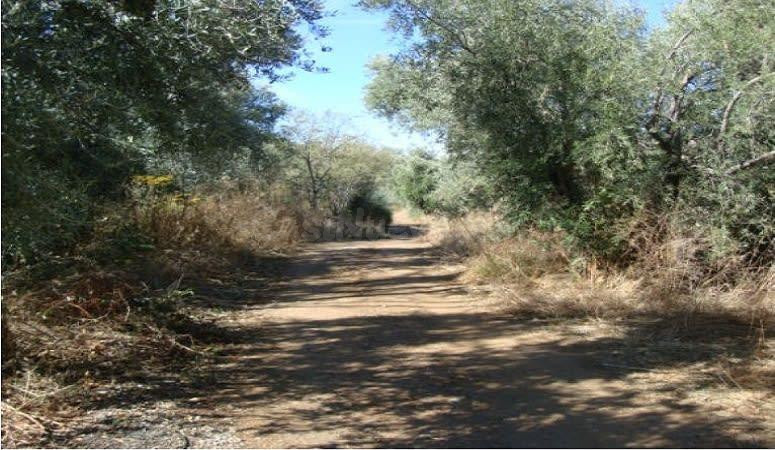 SUELOS EN VENTA EN PINOS GENIL
