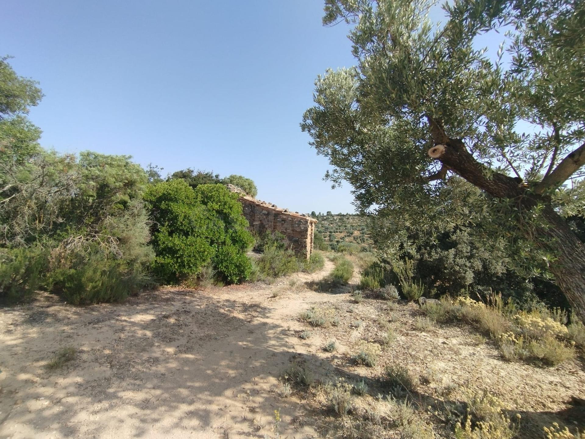 Finca rústica con maset en Calaceite