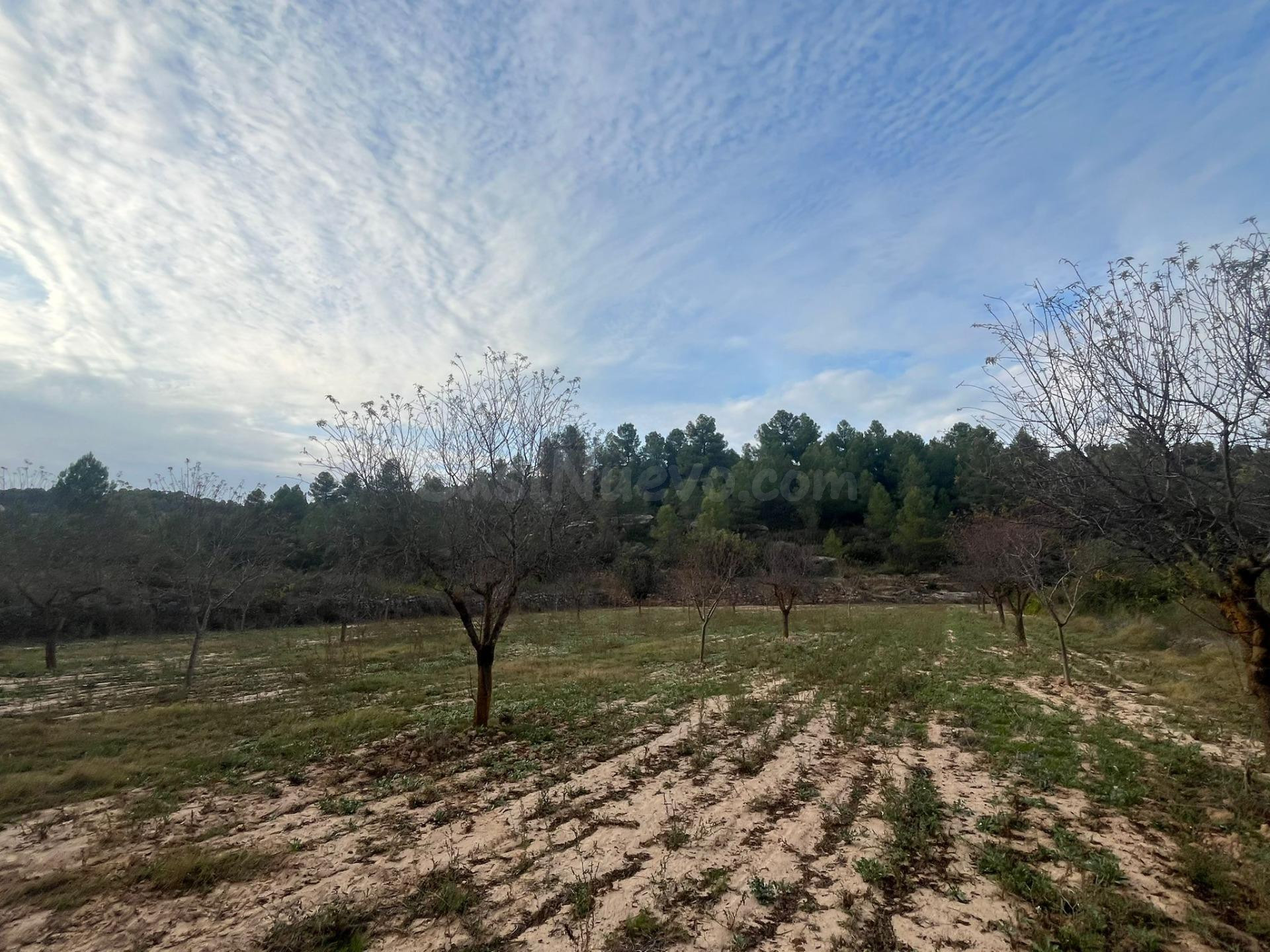 Finca rústica en Arens de Lledó