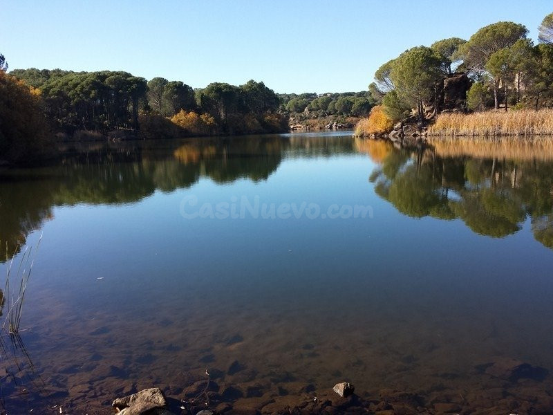 LAS JARAS. PARCELA URBANA CON PROYECTO CON ACCESO DIRECTO AL LAGO
