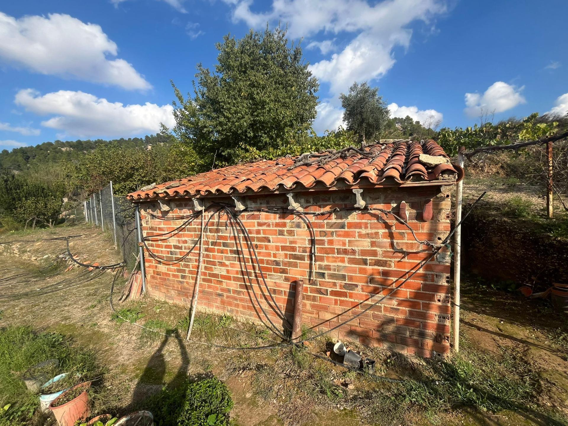 Finca rústica con maset en Torre del Compte