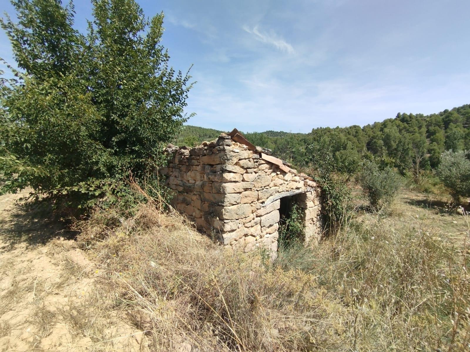 Finca rústica con maset