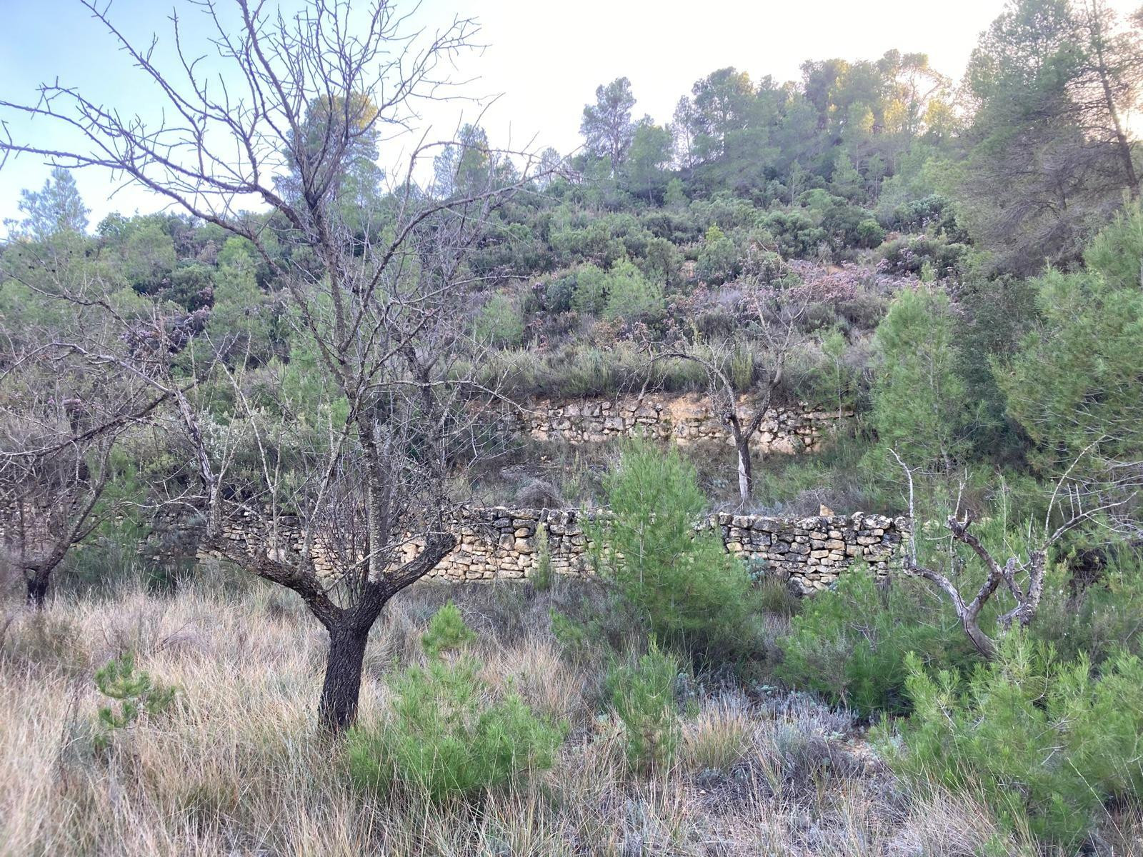 Finca rústica en Calaceite.