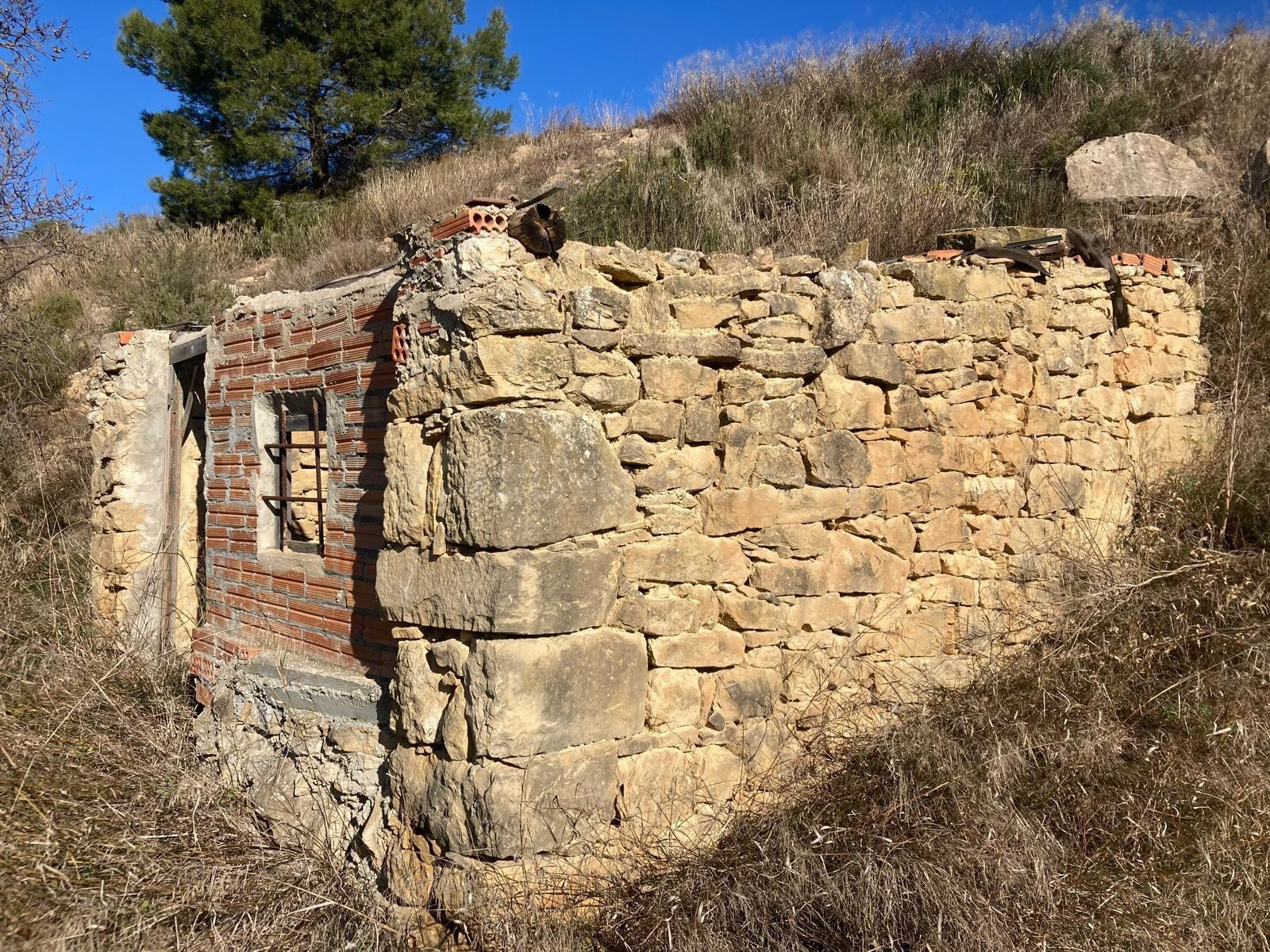 Huerto con maset en Caseres
