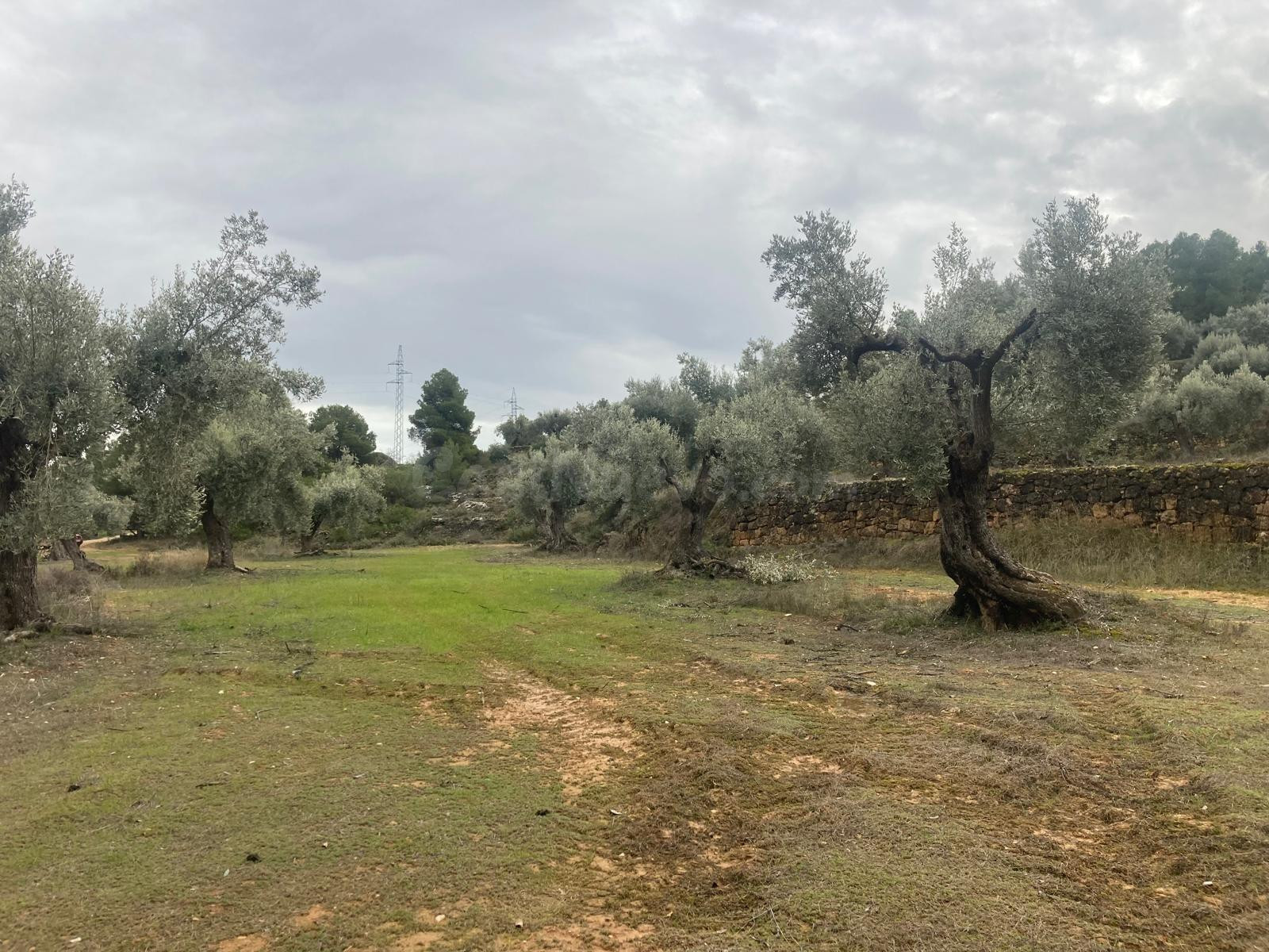 Finca rústica en Valderrobres