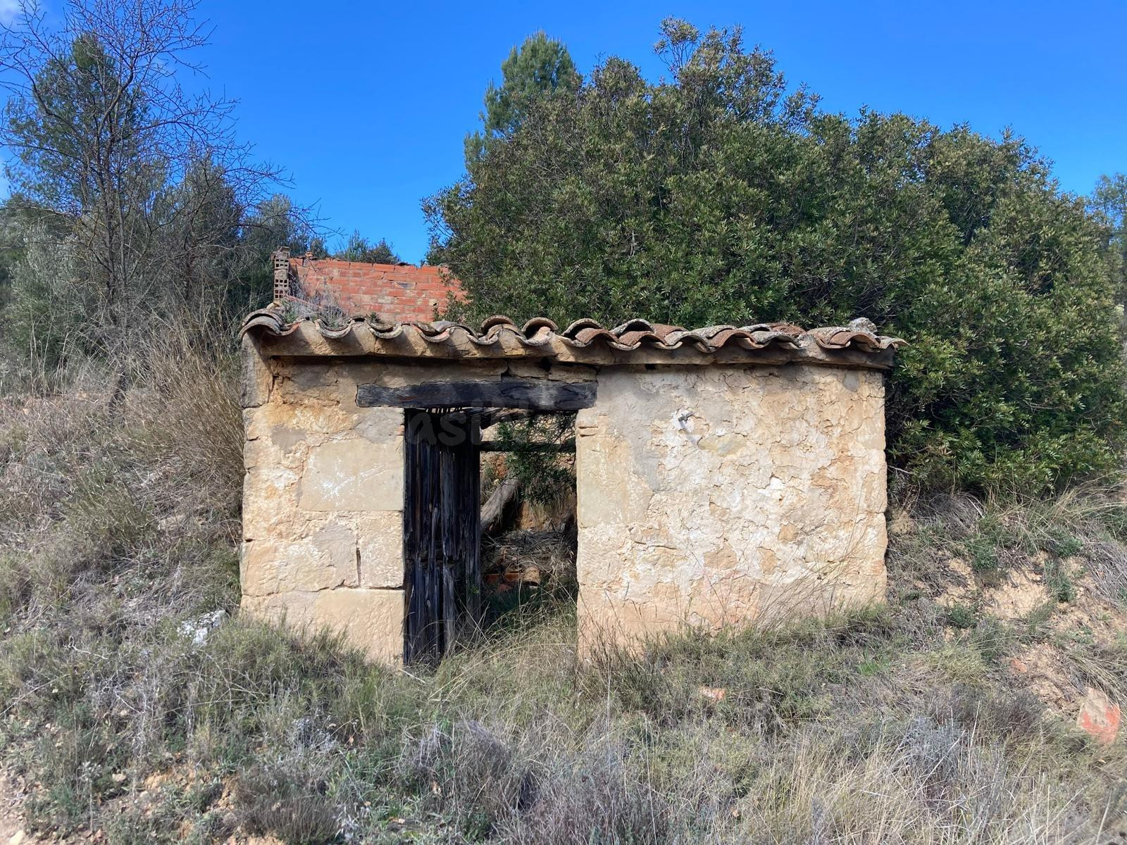 Finca rústica con maset en Calaceite