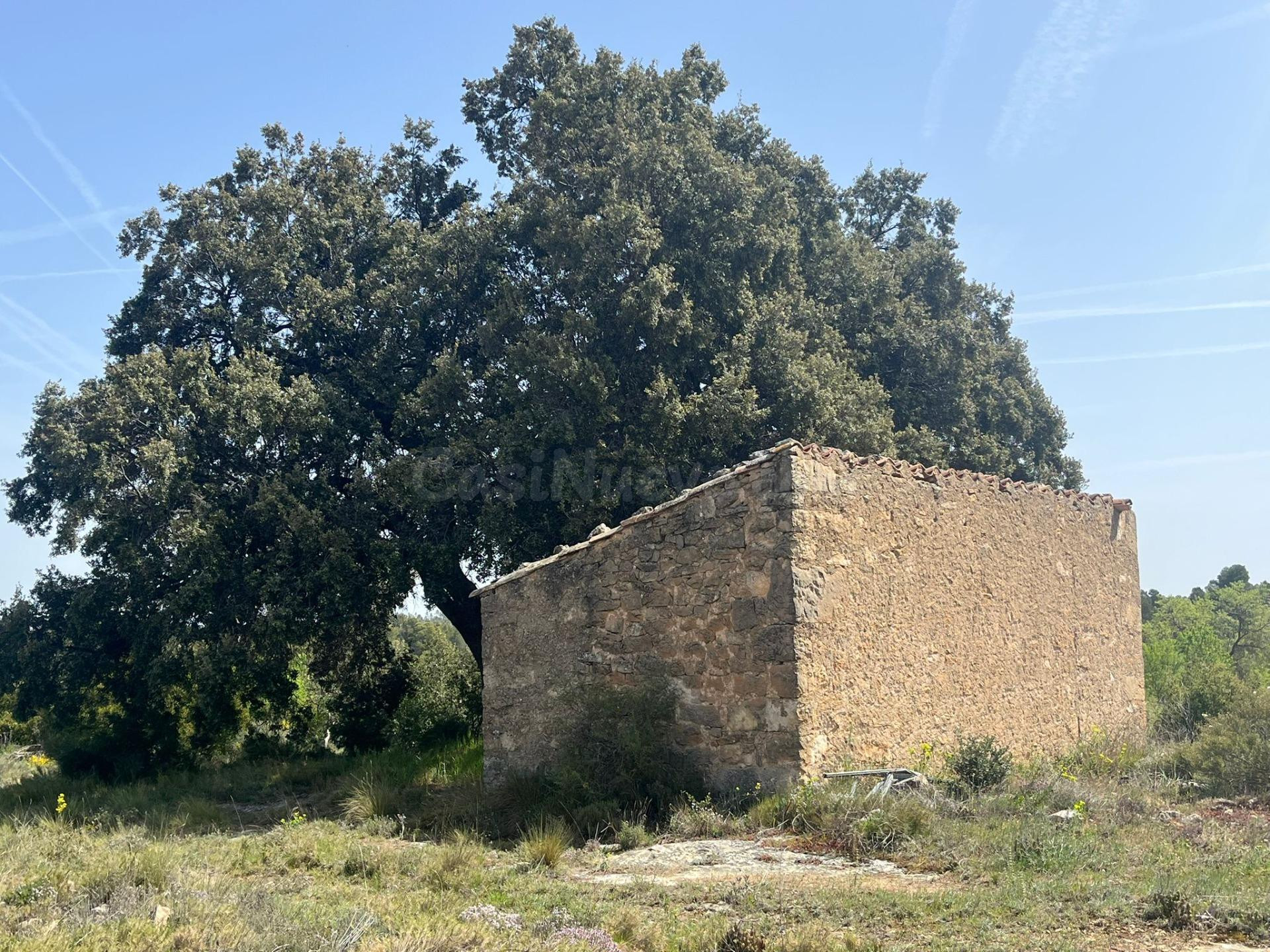 Finca rústica con maset en Calaceite