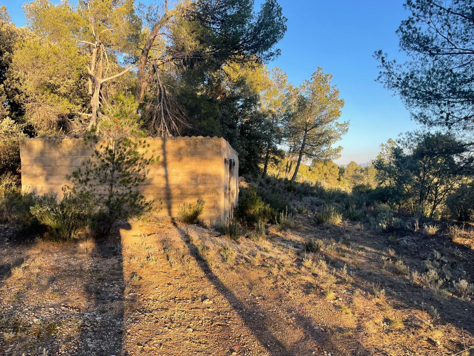 Finca rústica con maset en Ráfales