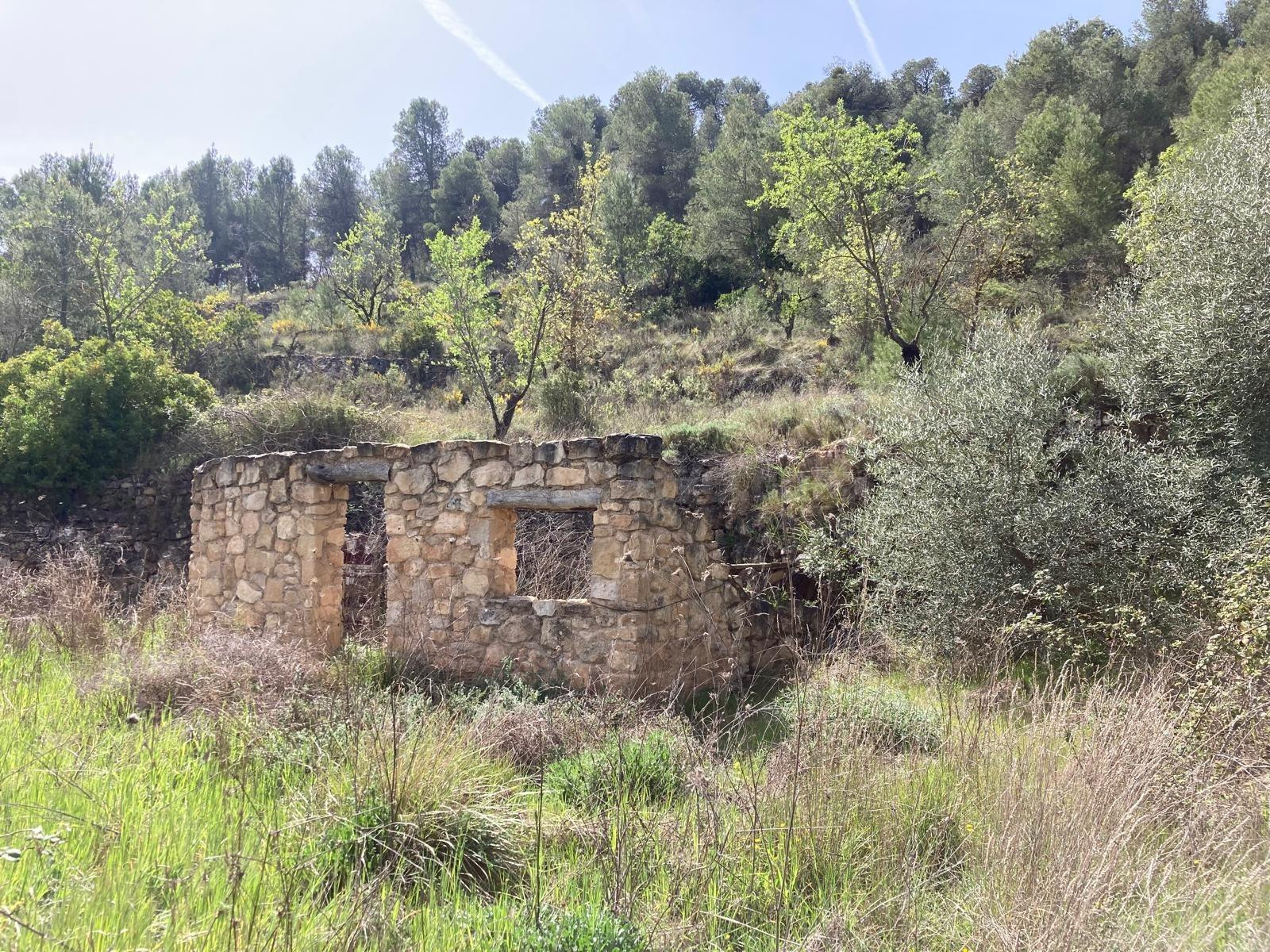 Finca rústica con maset en Arens de Lledó