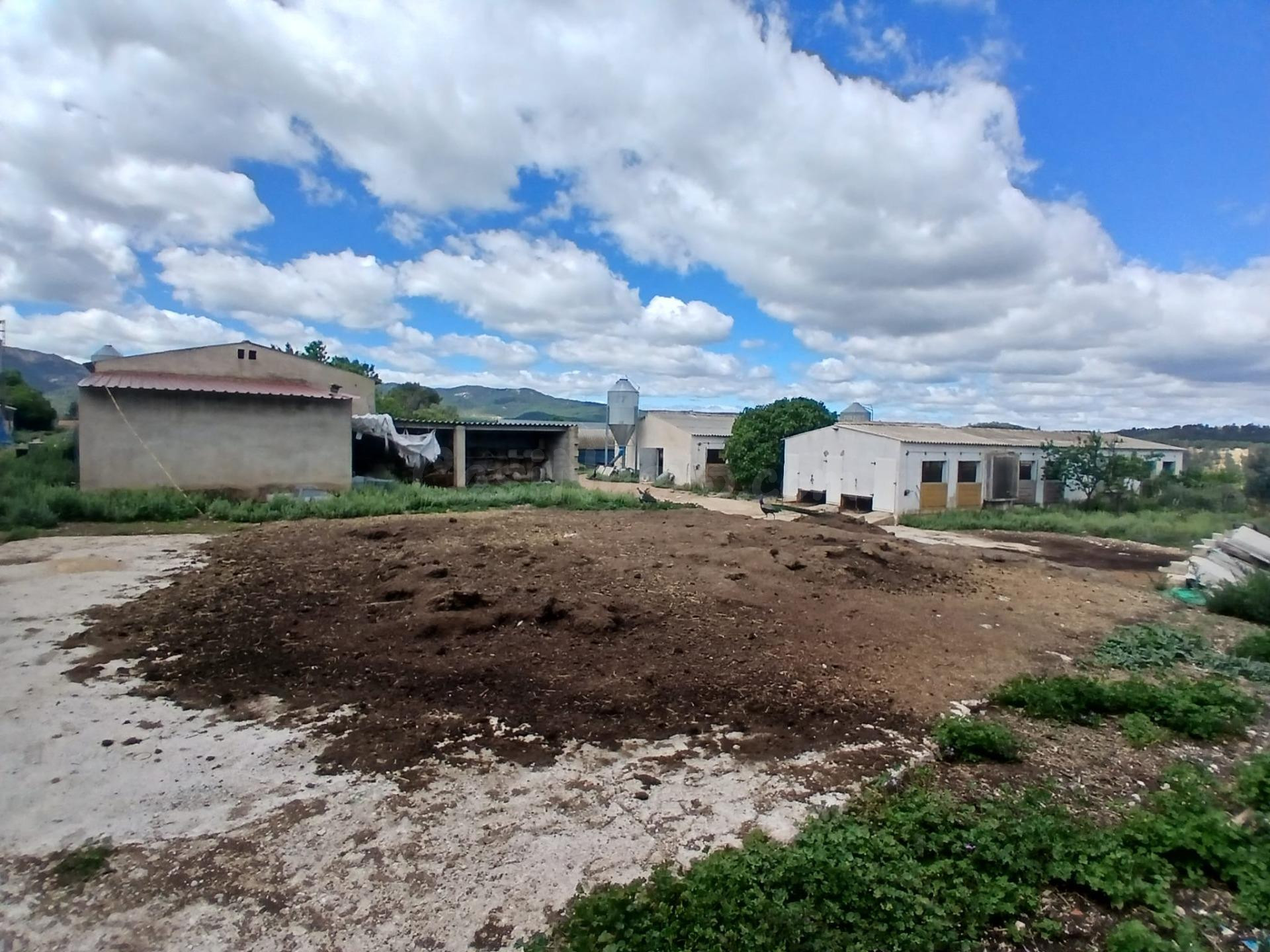 Granja de conejos en Peñarroya de Tastavins