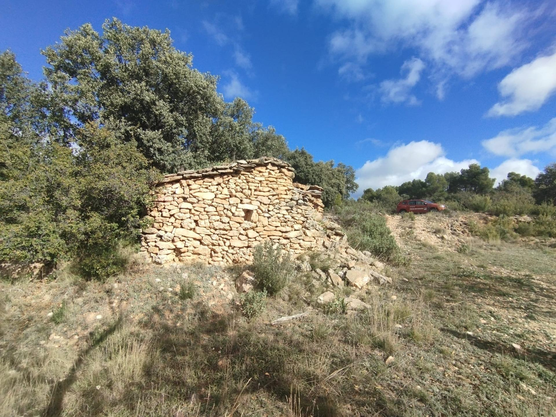 Finca rústica con maset en Ráfales