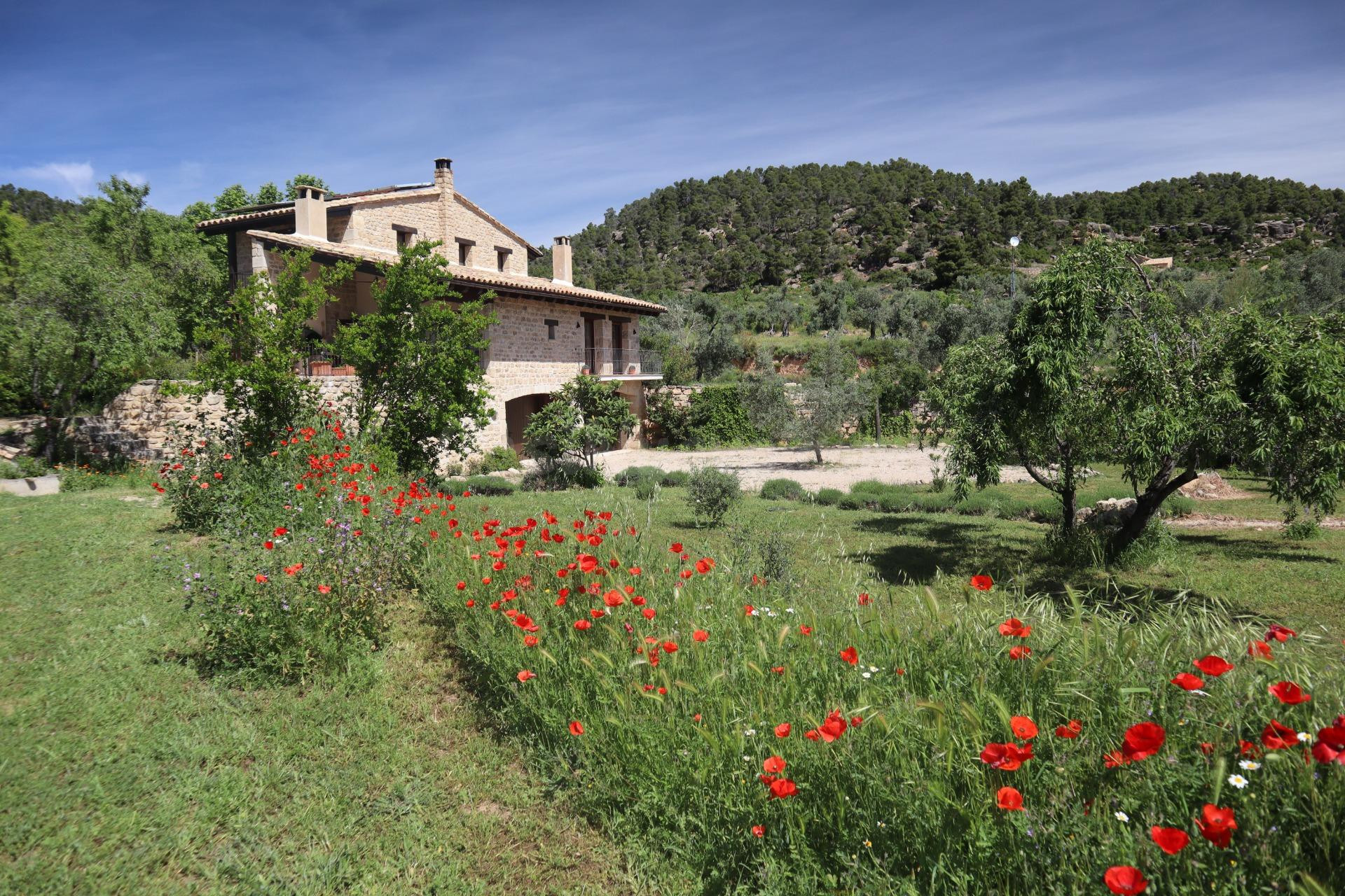Finca rústica con chalet en La Fresneda