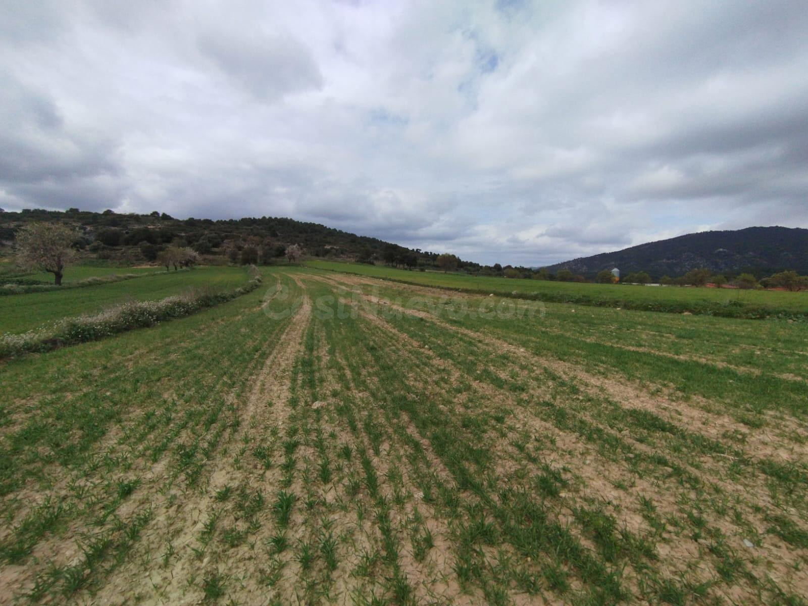 Finca rústica en Peñarroya de Tastavins