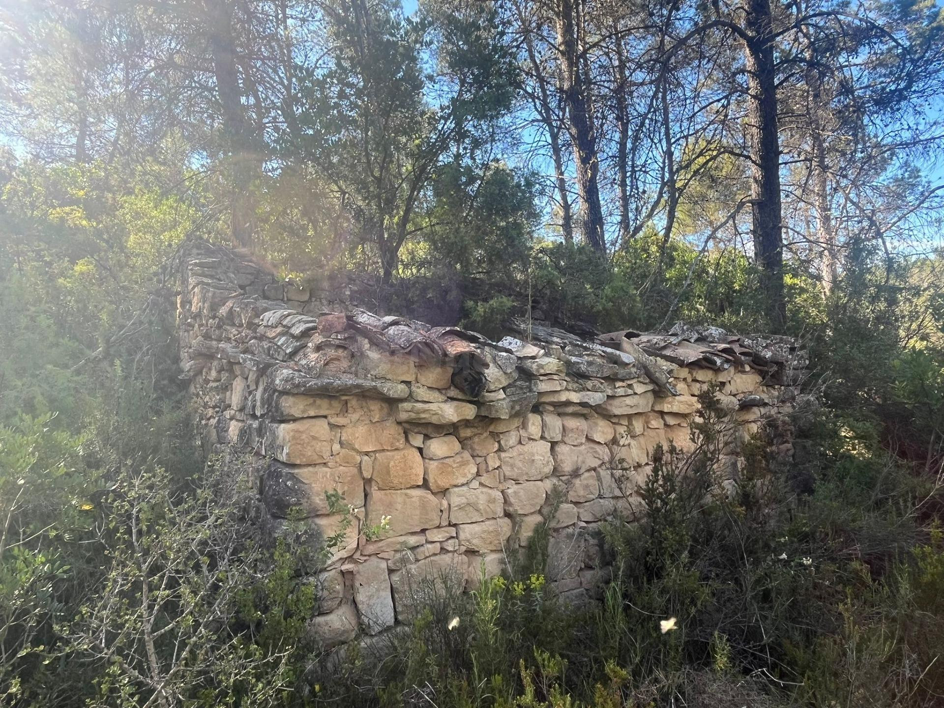 Finca rústica con maset en Arens de Lledó