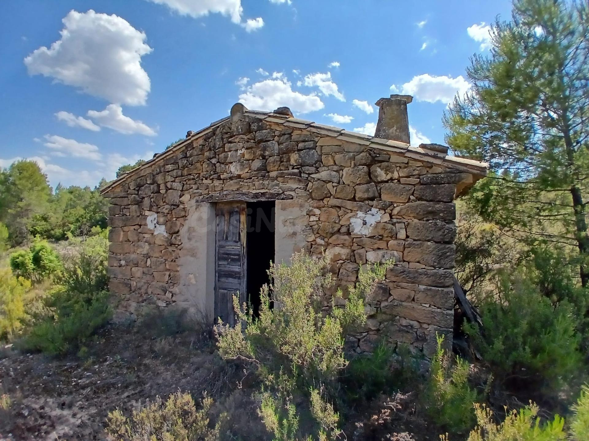 Finca rústica con masico en Mazaleón