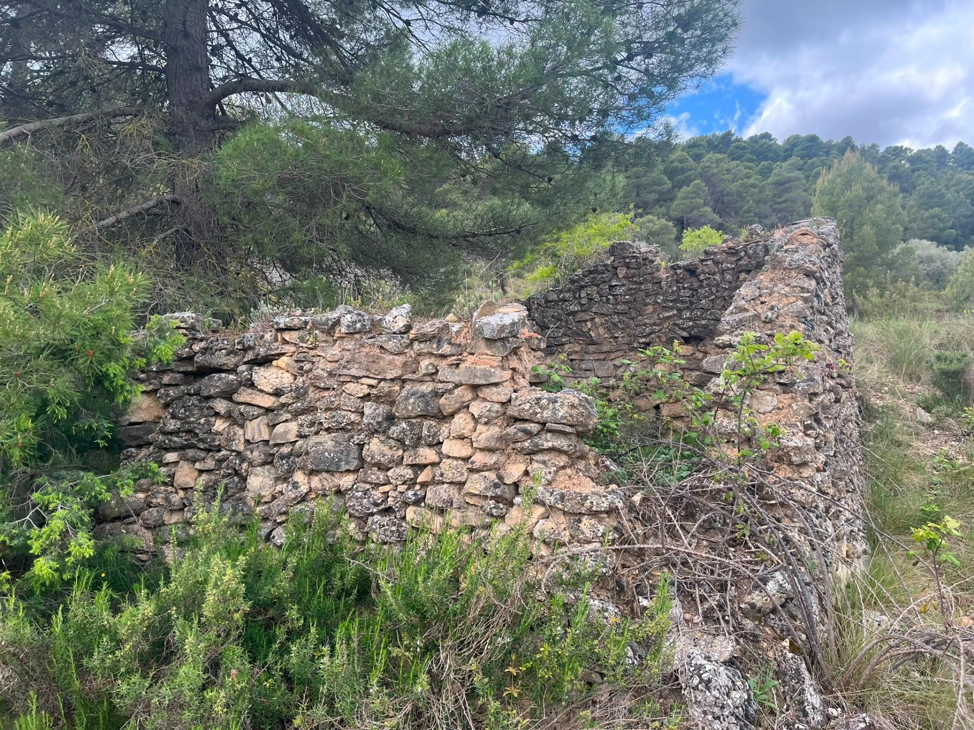 Finca rústica con maset en Ráfales