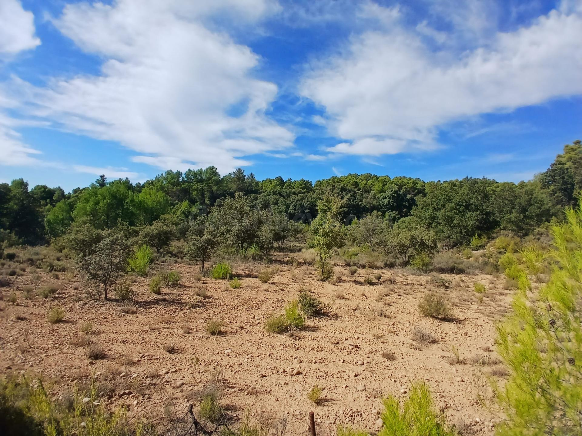 Finca rústica en Ráfales