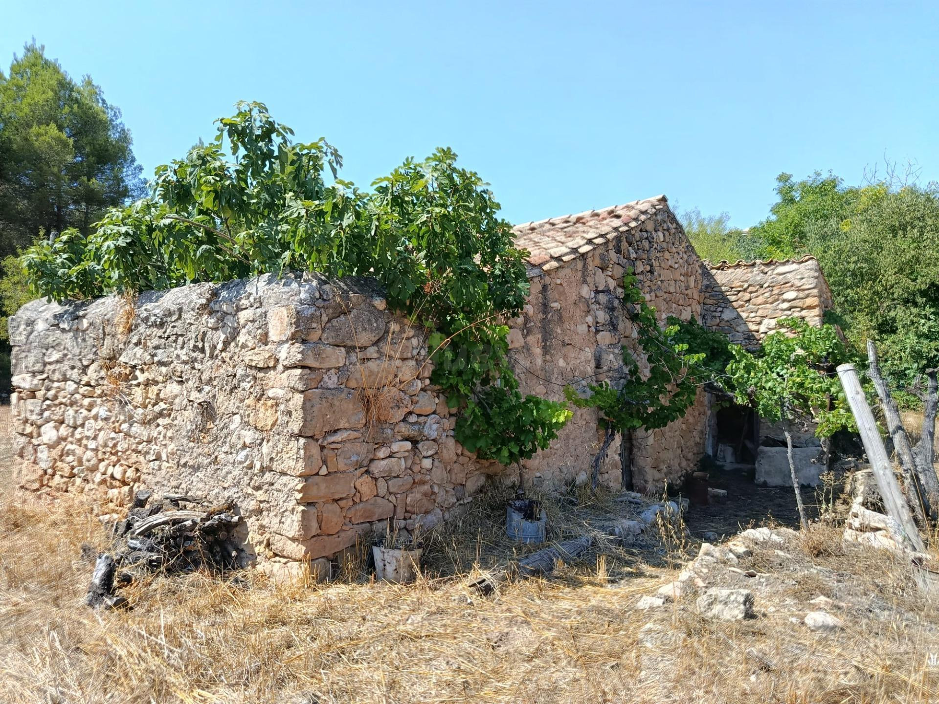 Finca rústica con maset en Lledó