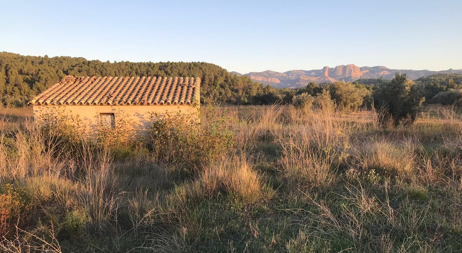 Finca rústica con maset en Lledó