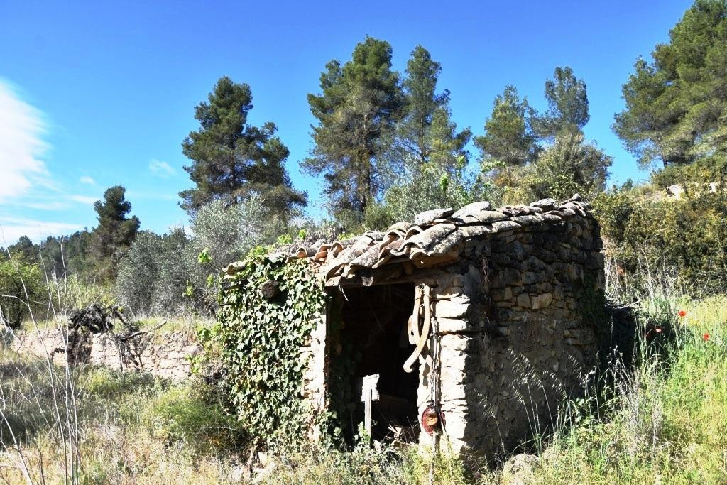 Finca rústica con maset en La Fresneda