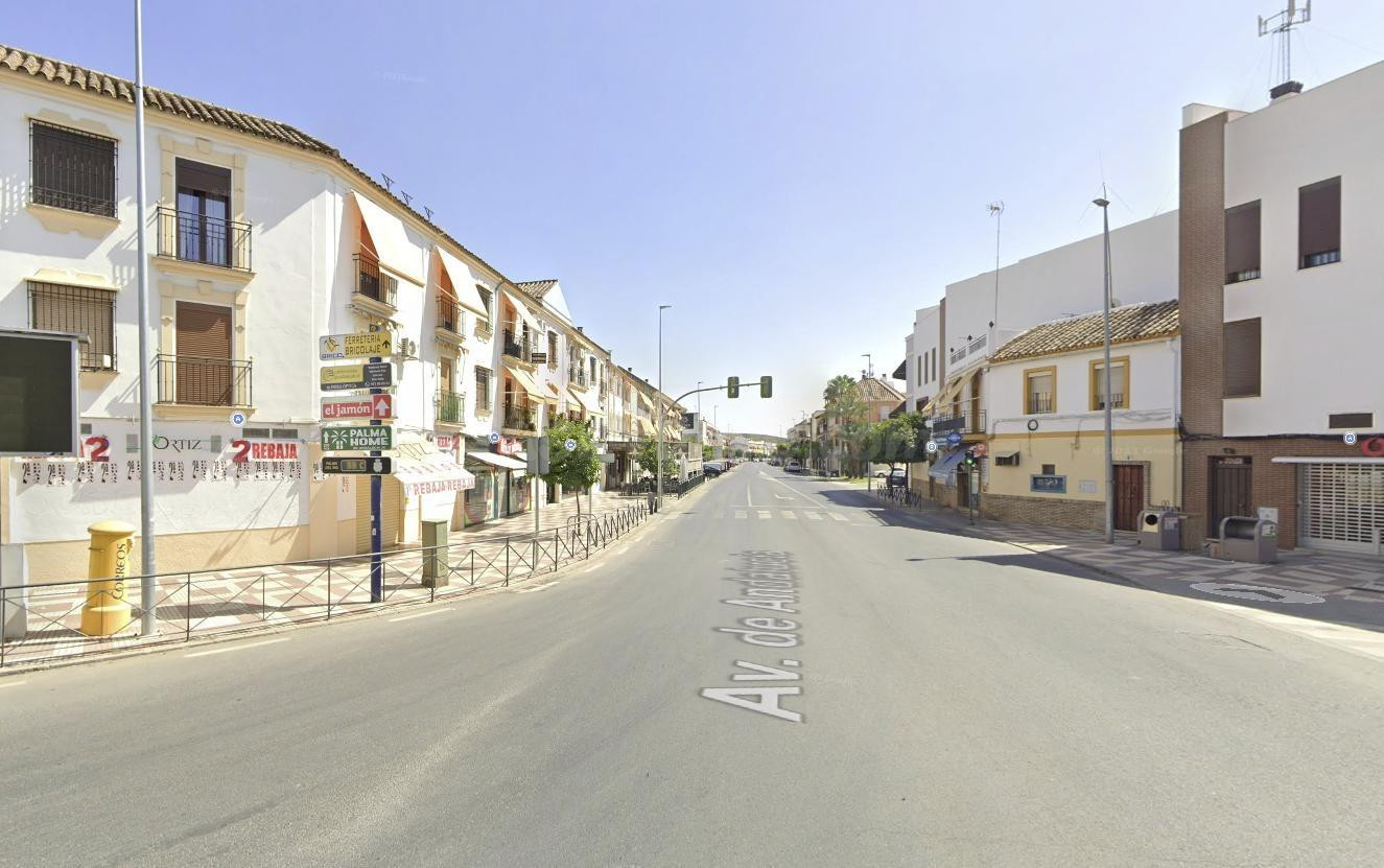OFICINA EN PALMA DEL RIO