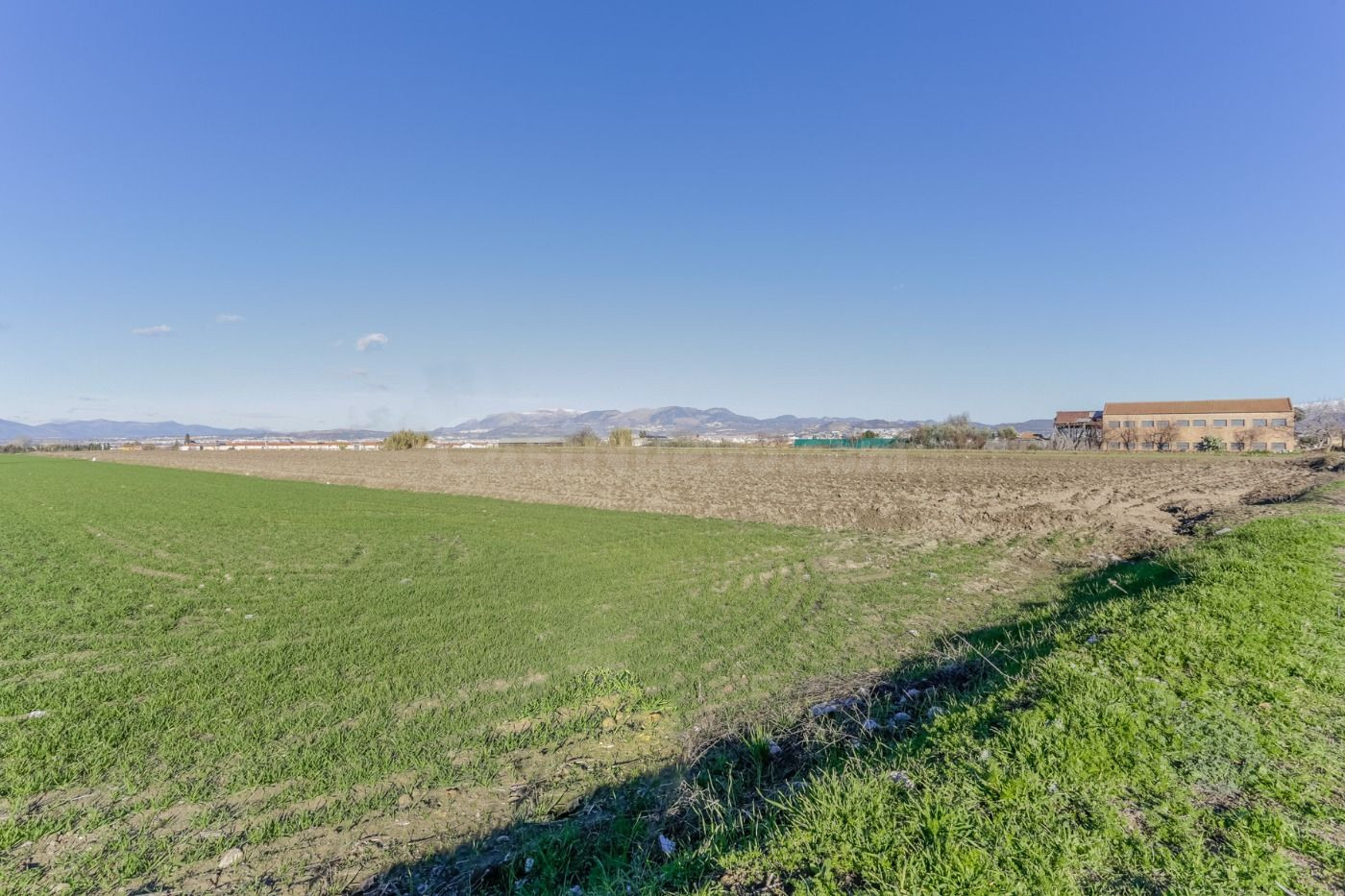 ¡Oportunidad Única! Se Vende Magnífica Finca Rústica en Cúllar Vega