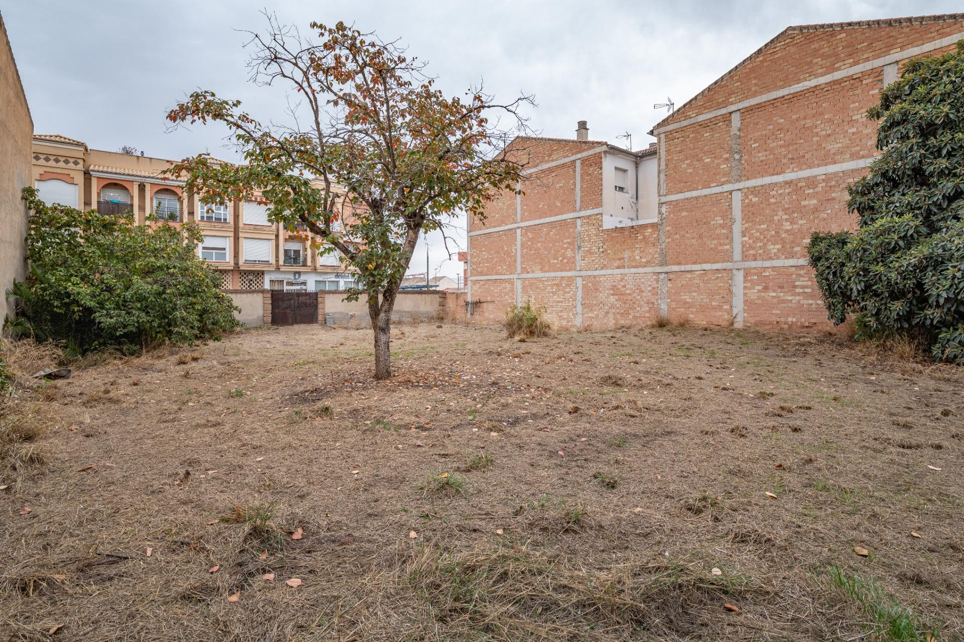 Solar en venta - Vega de granada zona sur