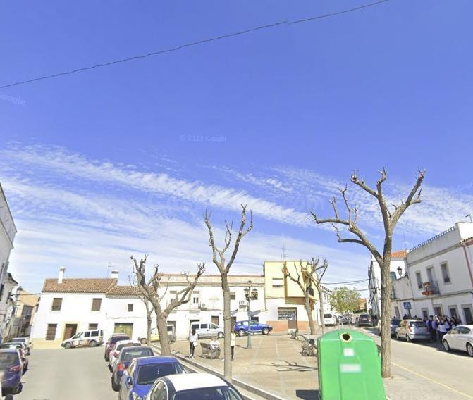 PISO EN ZAFRA