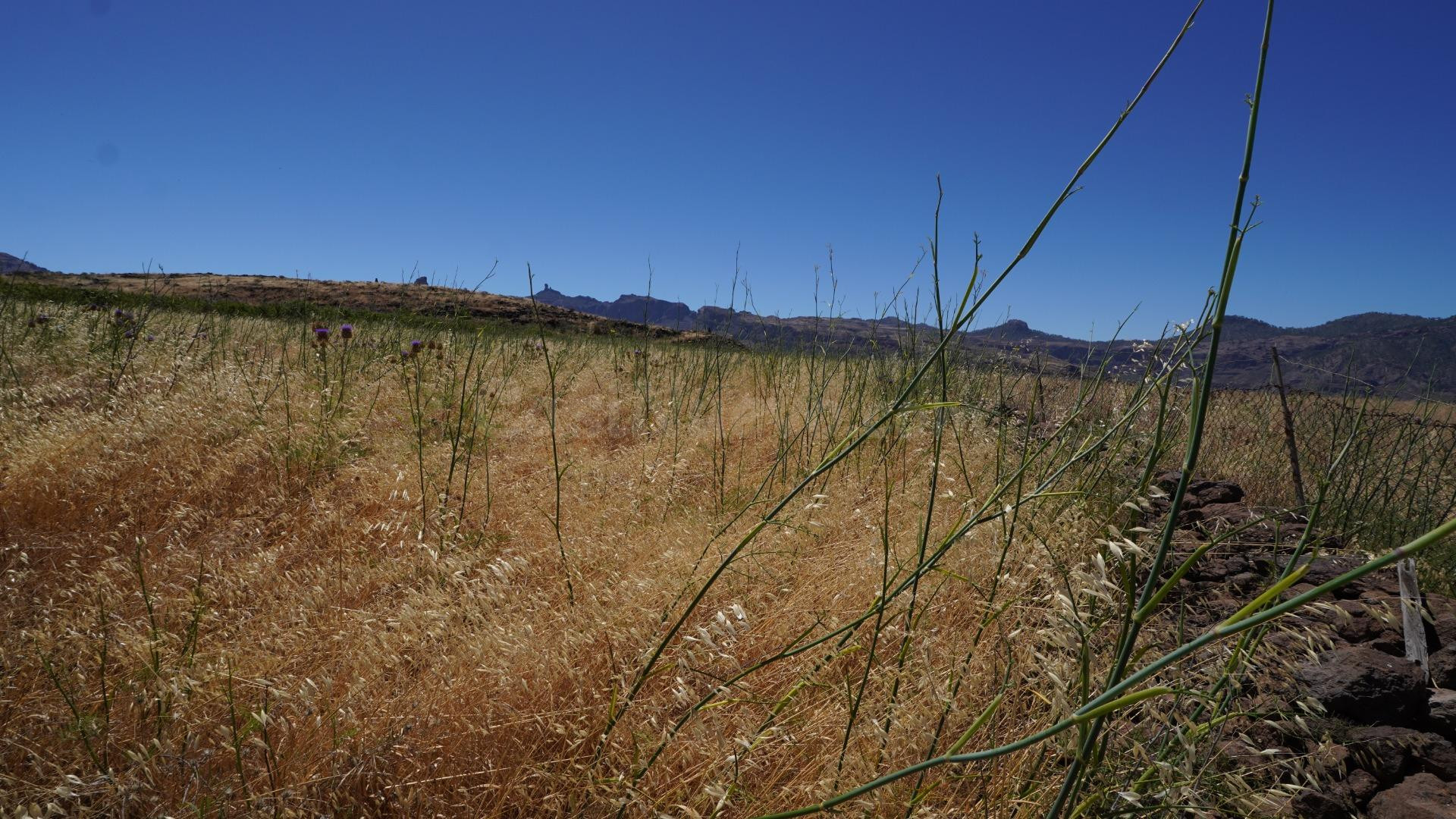 Terreno Rústico en venta - Islas canarias - foto 3
