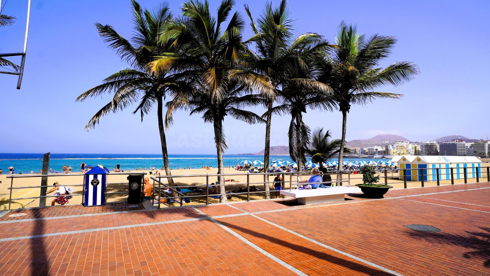 Piso 1 habitación 56m² en alquiler - Santa Catalina - Canteras