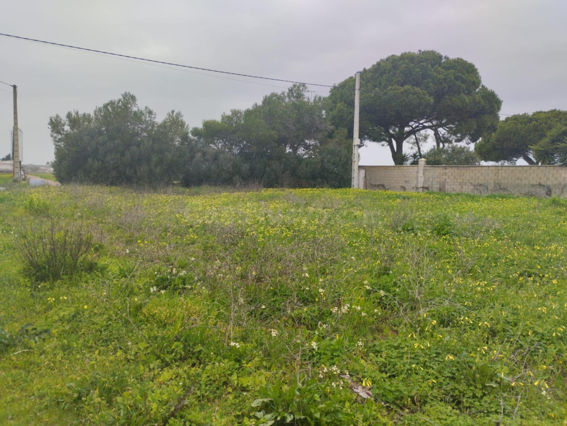 VENTA DE PARCELA NOVO SANTI PETRI
