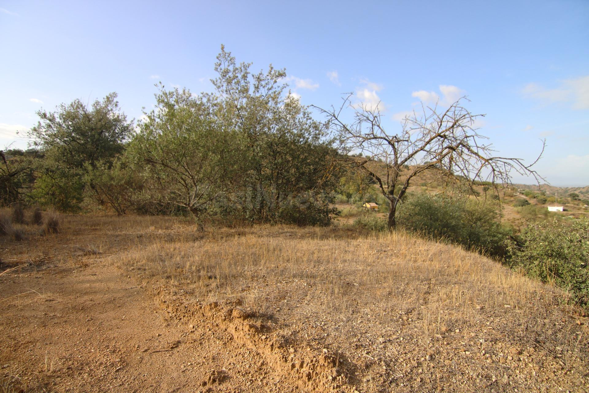 6062 M2 PARCELA RUSTICA CON LUZ Y AGUA
