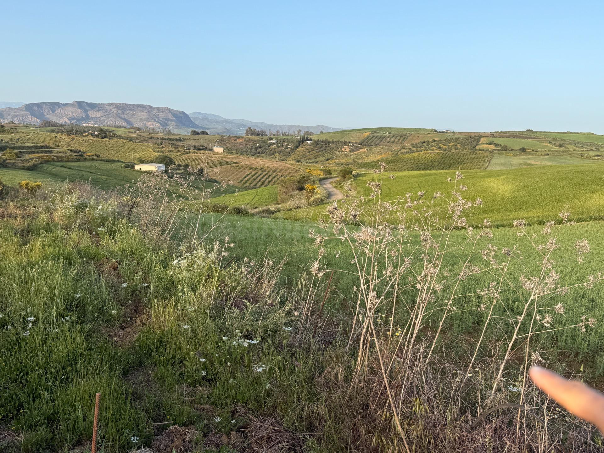 TERRENO RURAL EN VENTA