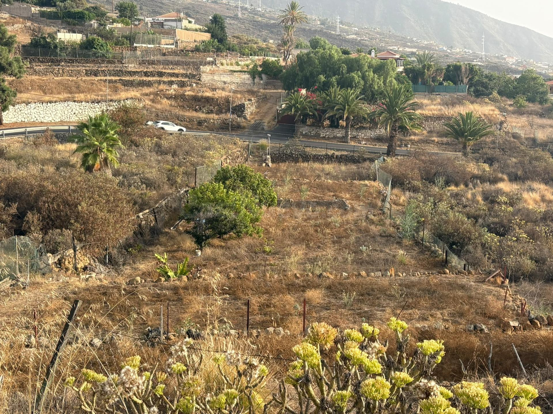 TERRENO RÚSTICO EN VENTA EN ARAFO