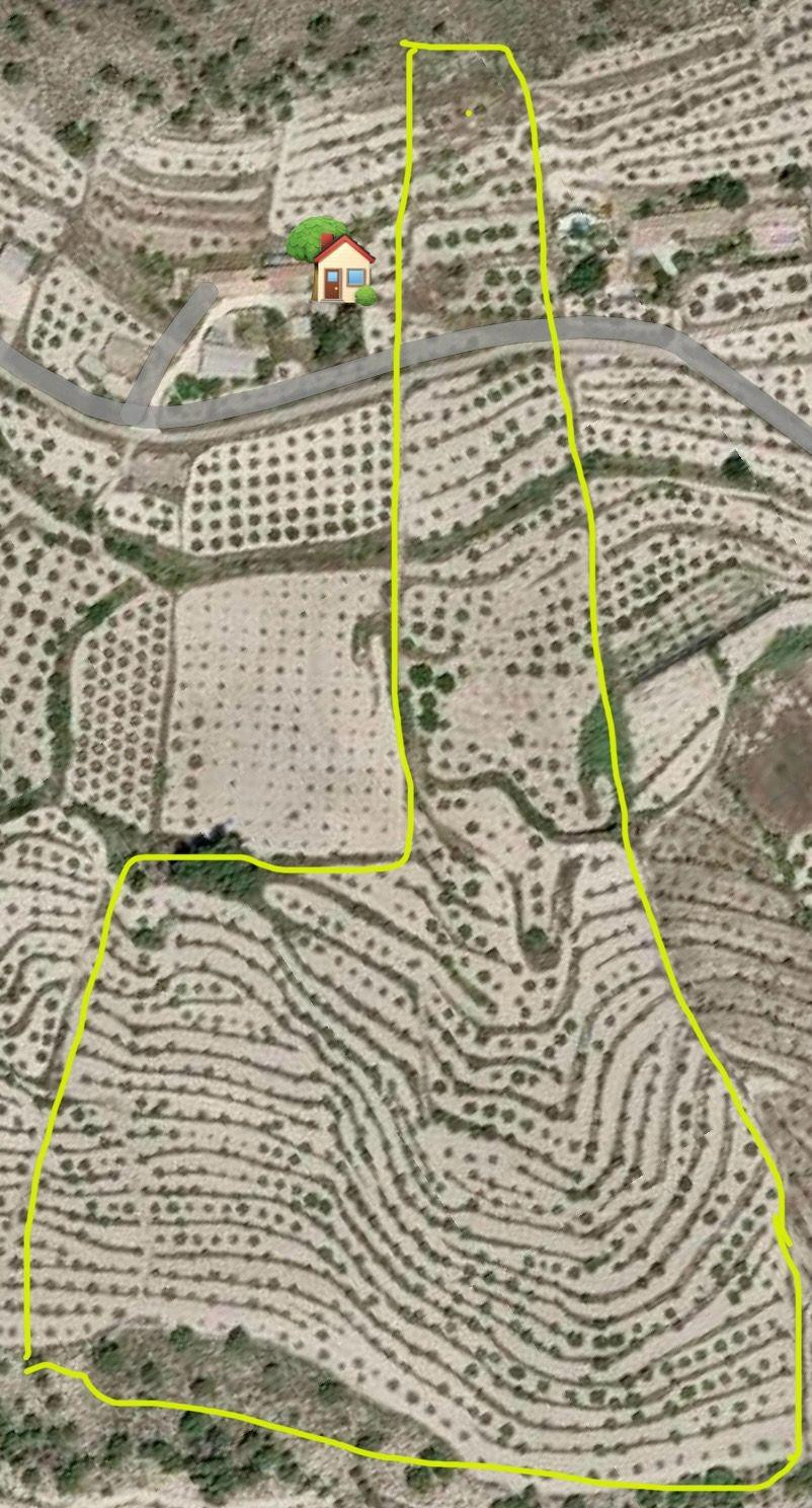 Casa de campo habitable en Mula con 80.000 m2 de parcela