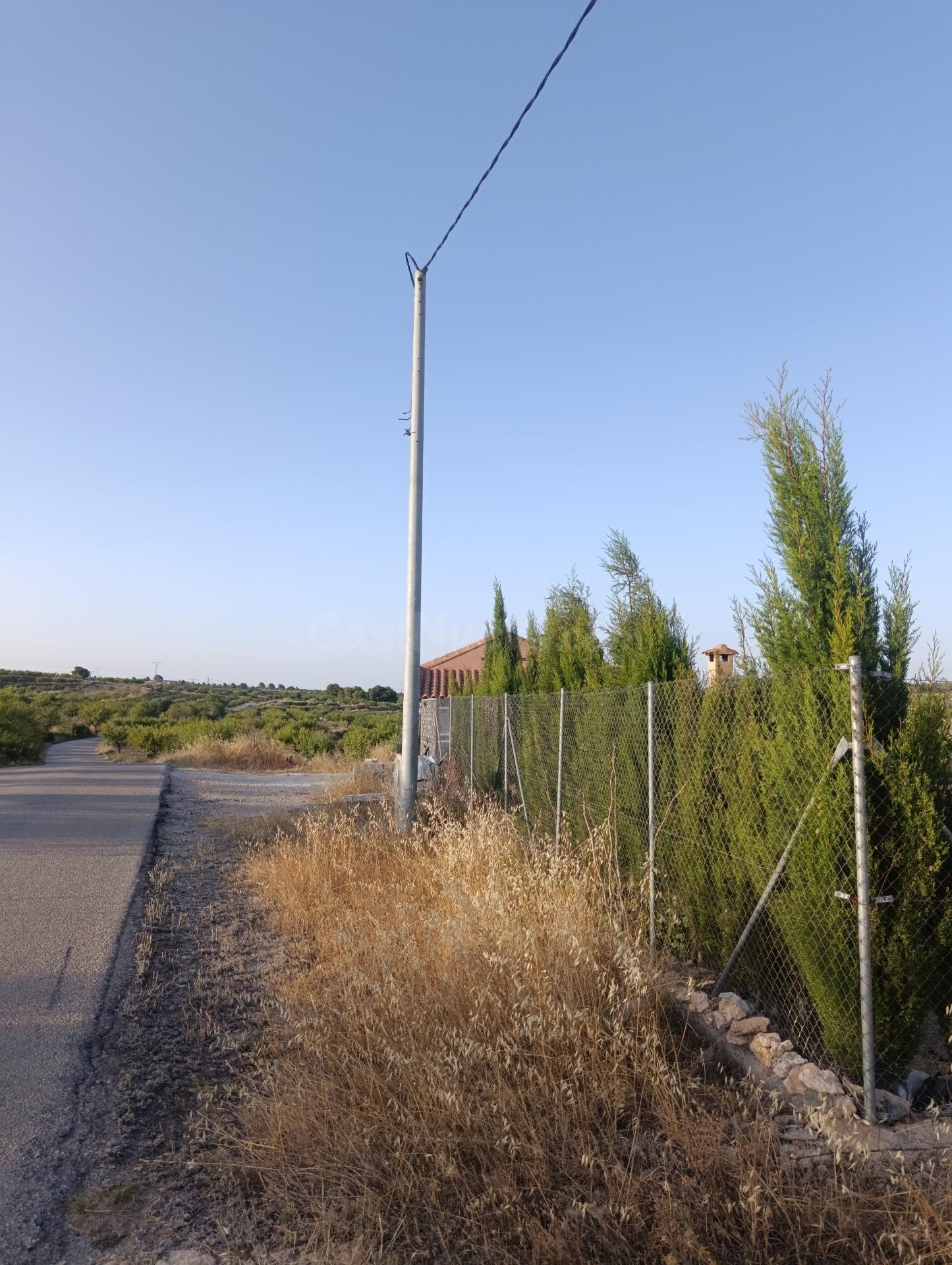 Finca rústica de 30.771 m2 con 500 almendros, 35 oliveras y almacén en Bullas