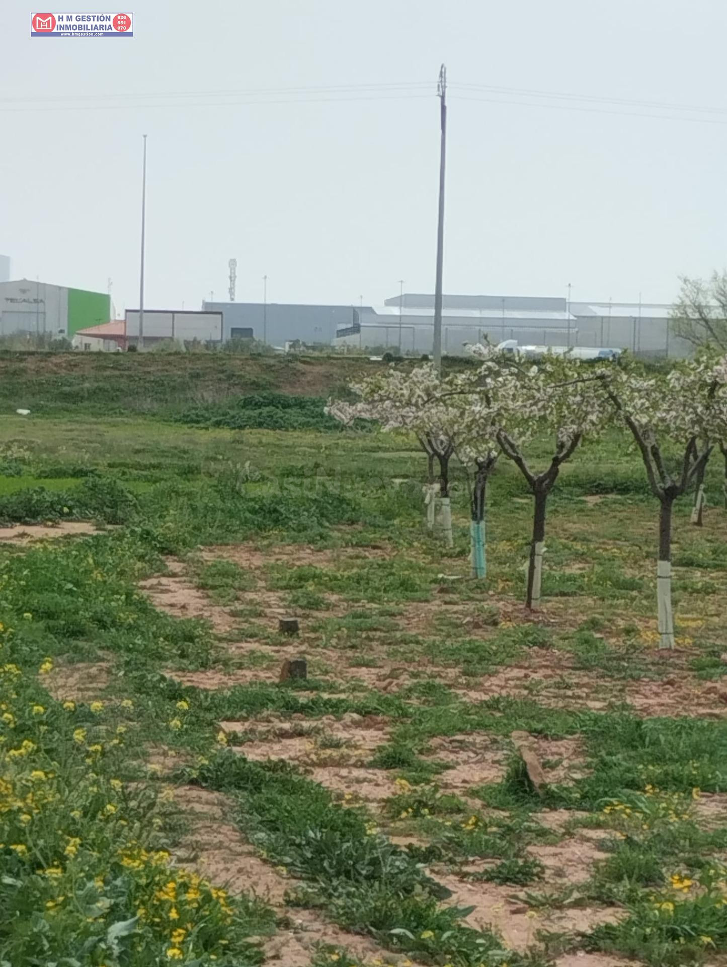 FINCA RUSTICA A 100 METROS DEL POLG. INDUSTRIAL ALCES