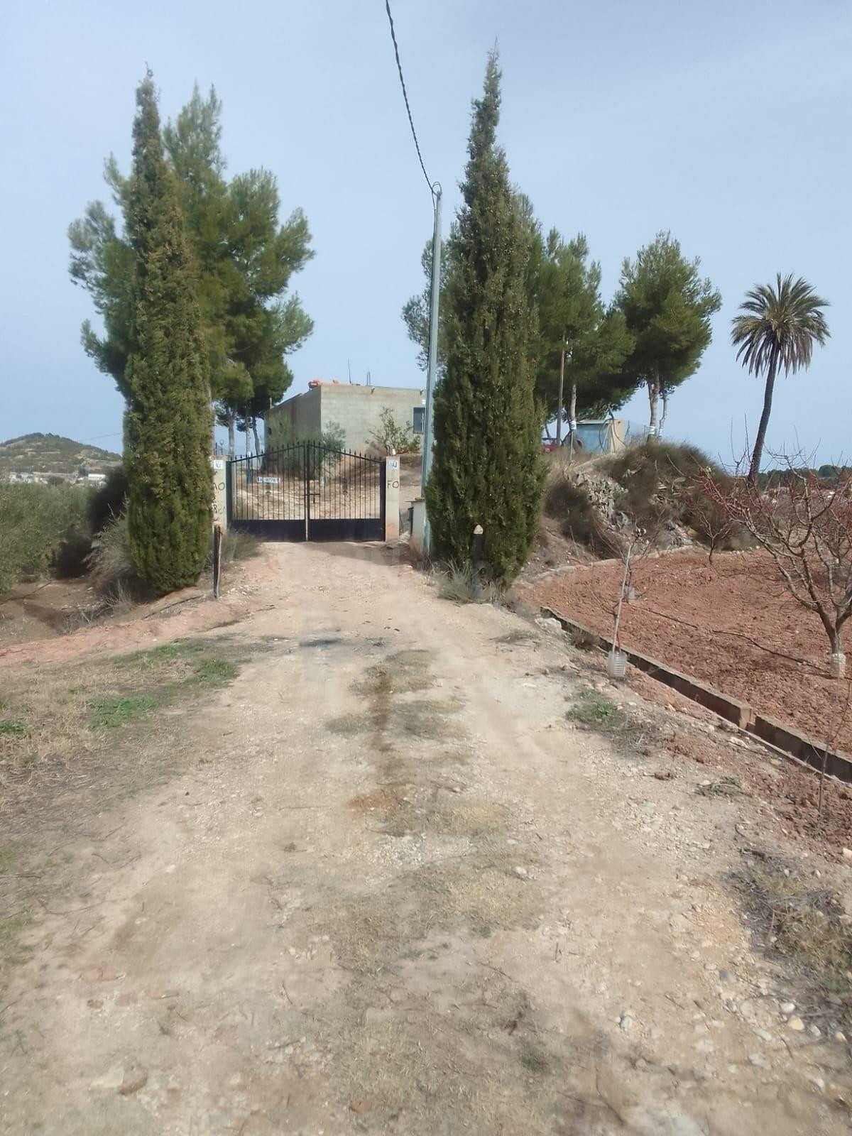 Finca rústica de 4 hectáreas con olivar, frutales, agua propia y construcción en Cehegín