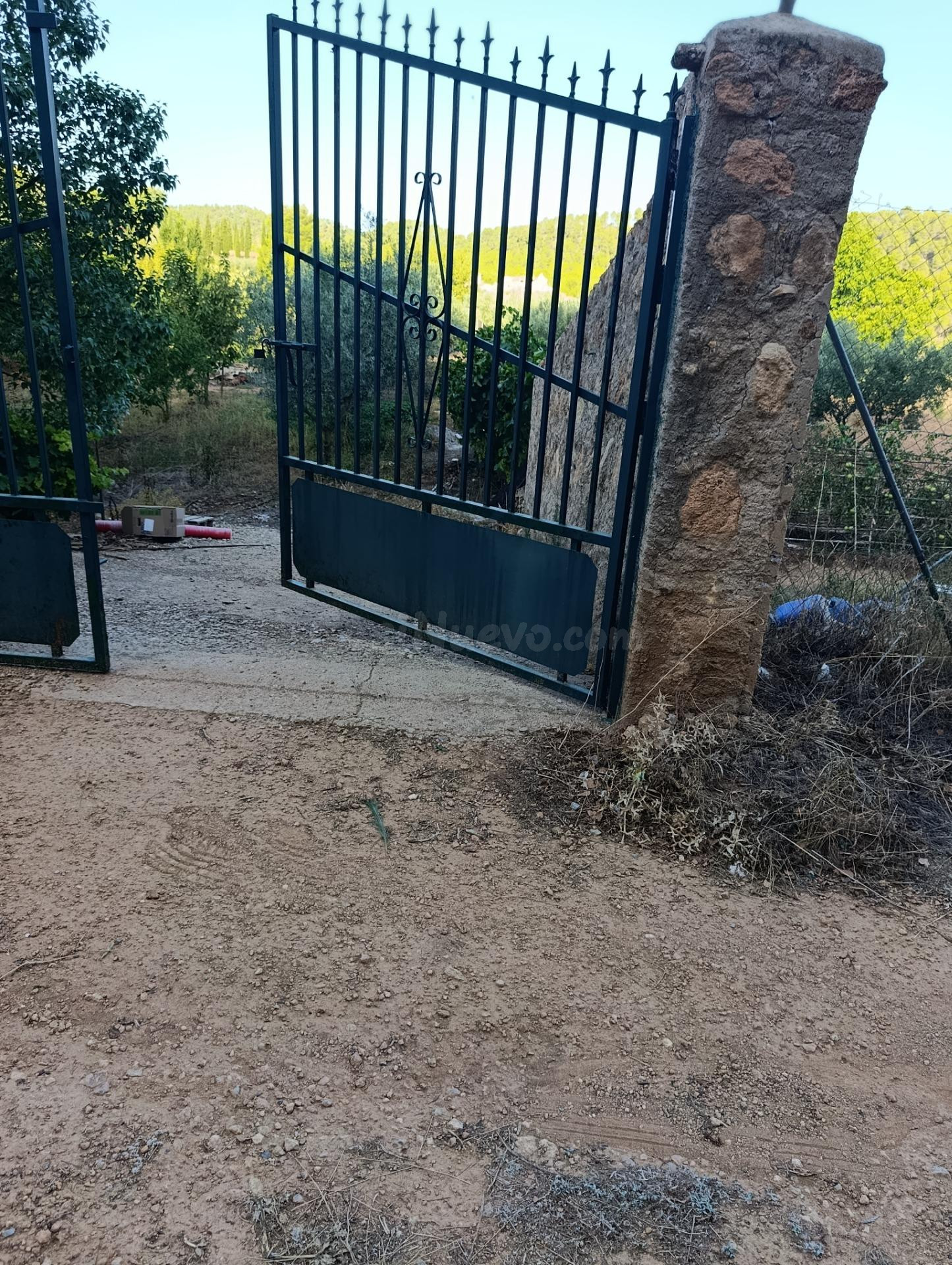 Finca rústica de 4,7 hectáreas en La Berquilla (Cehegín)