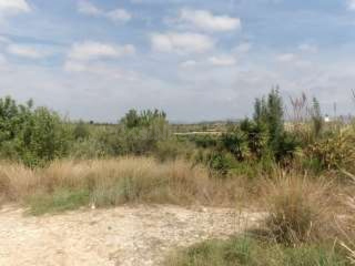 TERRENO - Parcela de terreno de 1.200 m2 cerca de la barriada del Higueron