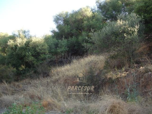 SUELO URBANO DE 36.000 M2 EN LOS ENCINARES DE ALCOLEA.