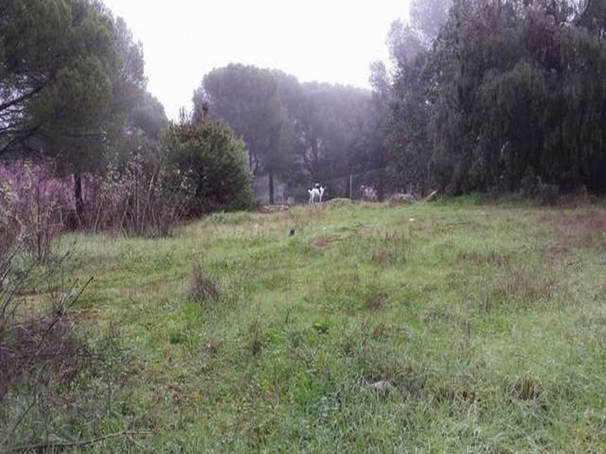 TERRENO URBANO EN LAS JARAS