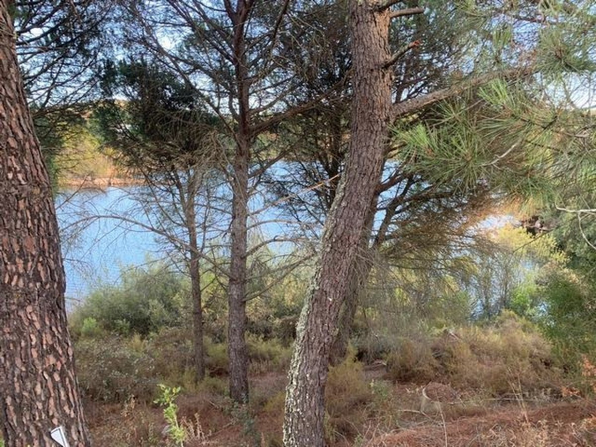 ZONA LAS JARAS. Parcela de terreno de 1154 m2 con punto de luz.