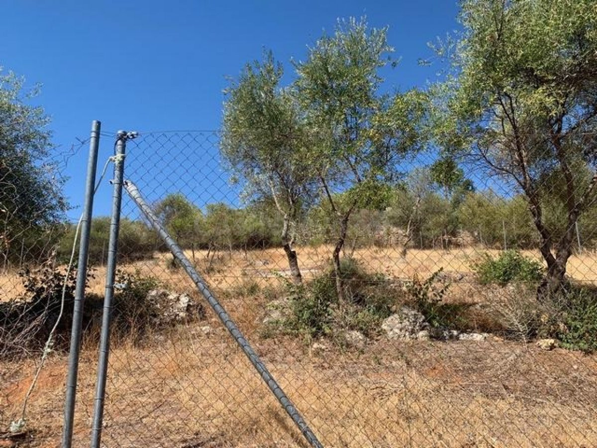 ZONA CHARCO ROTO - Parcela de terreno de 1500 m2 con punto de luz y agua comunitaria