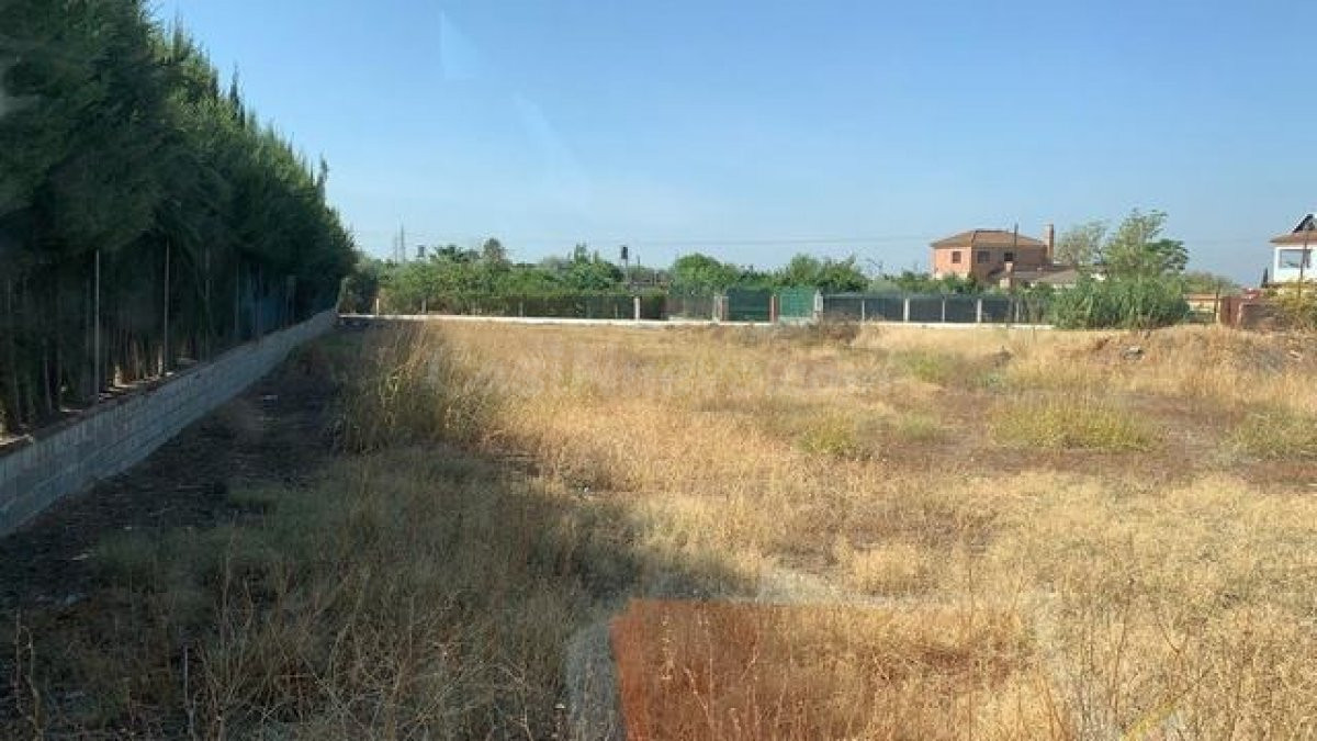 ZONA CORTIJO EL ALCAIDE - Parcela en Cordoba - 3000 m. superficie parcela