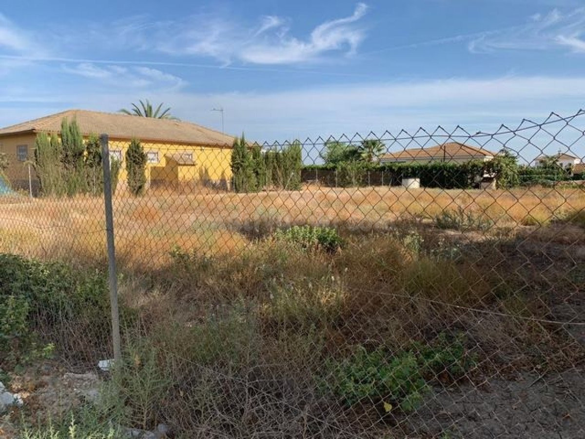 Zona La Barquera- Parcela de terreno de 1250 m2 con pozo y punto de luz