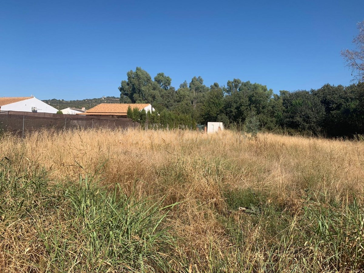 ZONA LAGUNA CUEVAS BAJAS, parcela de terreno de 2.000 m2 con pozo