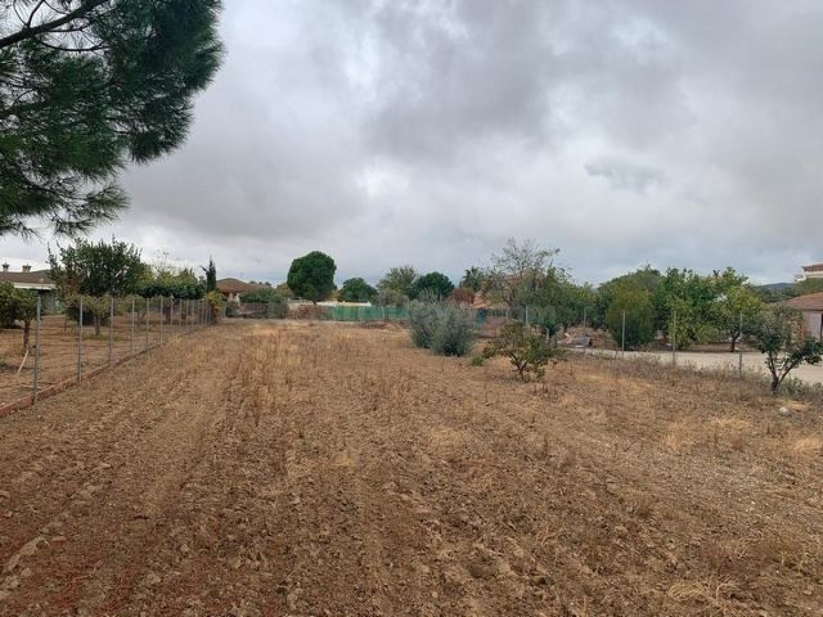 Parcela de terreno de 2100 m. en La Gorgoja.
