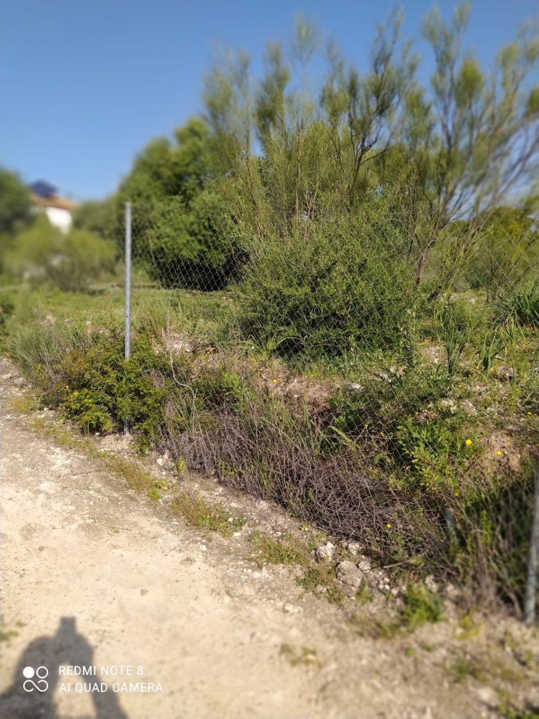 ZONA CIGARRA BAJA - Parcela de terreno de 700 m2  con punto de luz en la fachada.